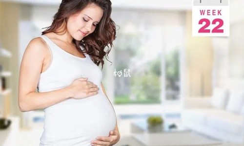 孕妇梦见白色的蝴蝶飞来飞去-孕妇梦见白色的蝴蝶网 | 孕妇梦见白色的蝴蝶是什么意思,孕妇梦见白色蝴蝶鲤鱼